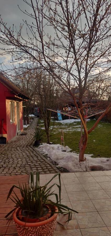 Casa Terzea Hotel Risnov Bagian luar foto