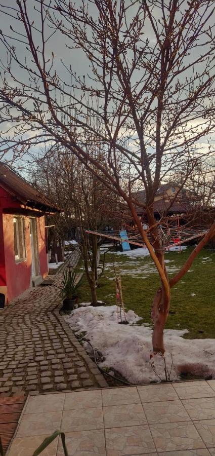 Casa Terzea Hotel Risnov Bagian luar foto